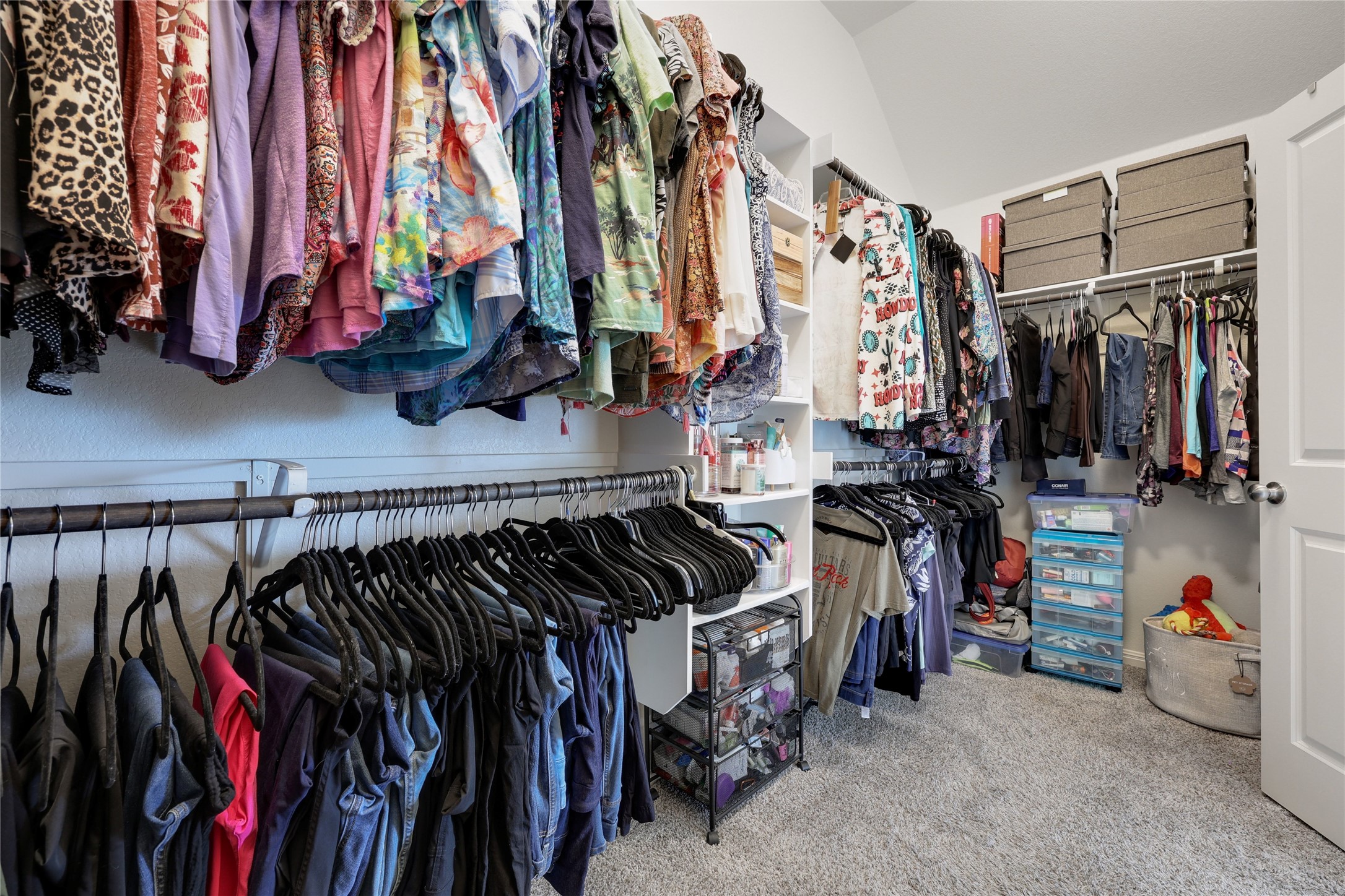 240 Prato Place Georgetown, TX 78628 - Photo 29 of 40 The property features a spacious closet with built-in shelving, hanging rods, and carpeted flooring