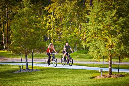 91 South Downy Willow Circle Spring, TX 77382 - Photo 45 of 50