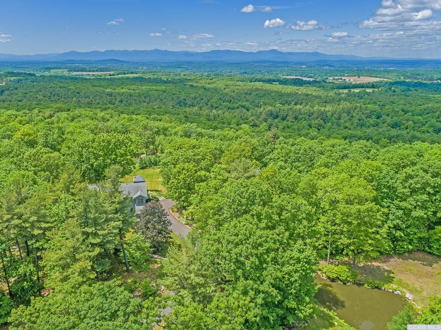 730 Oak Hill Road Claverack, NY 12534 - Photo 20 of 33 a view of a big yard with plants and a large tree