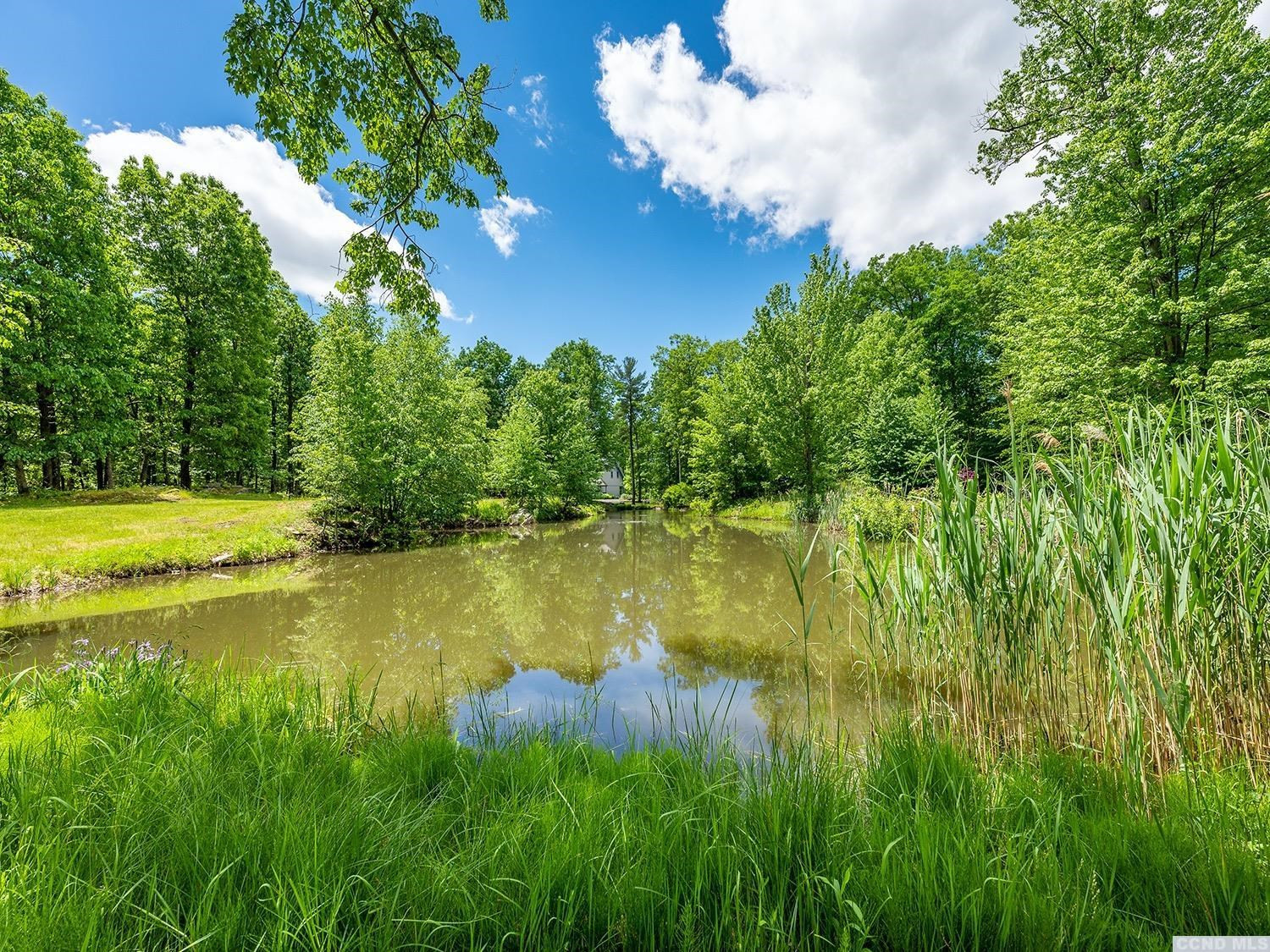 730 Oak Hill Road Claverack, NY 12534 - Photo 21 of 33 a view of a lake with a yard