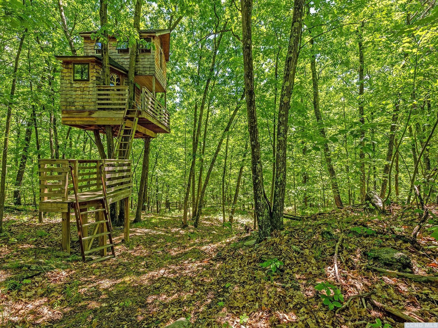 730 Oak Hill Road Claverack, NY 12534 - Photo 26 of 33 a view of outdoor space and trees
