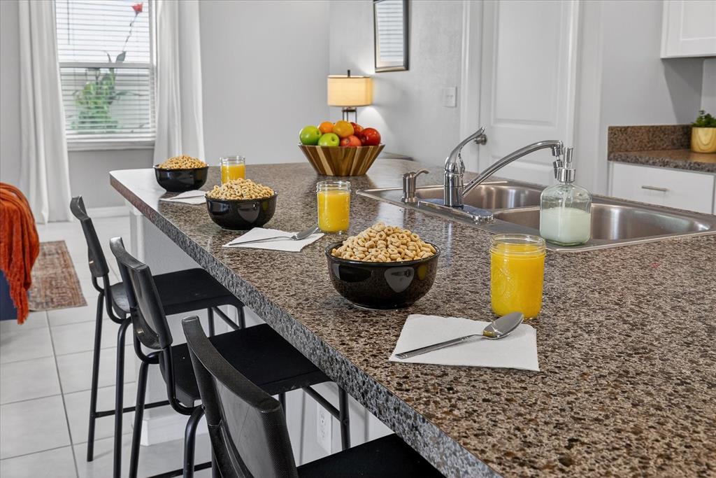 6115 Apple Snail Avenue New Port Richey, FL 34653 - Photo 13 of 59