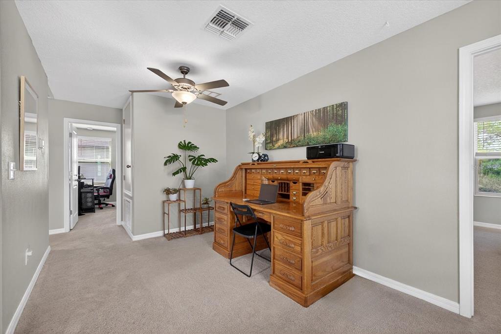 6115 Apple Snail Avenue New Port Richey, FL 34653 - Photo 34 of 59