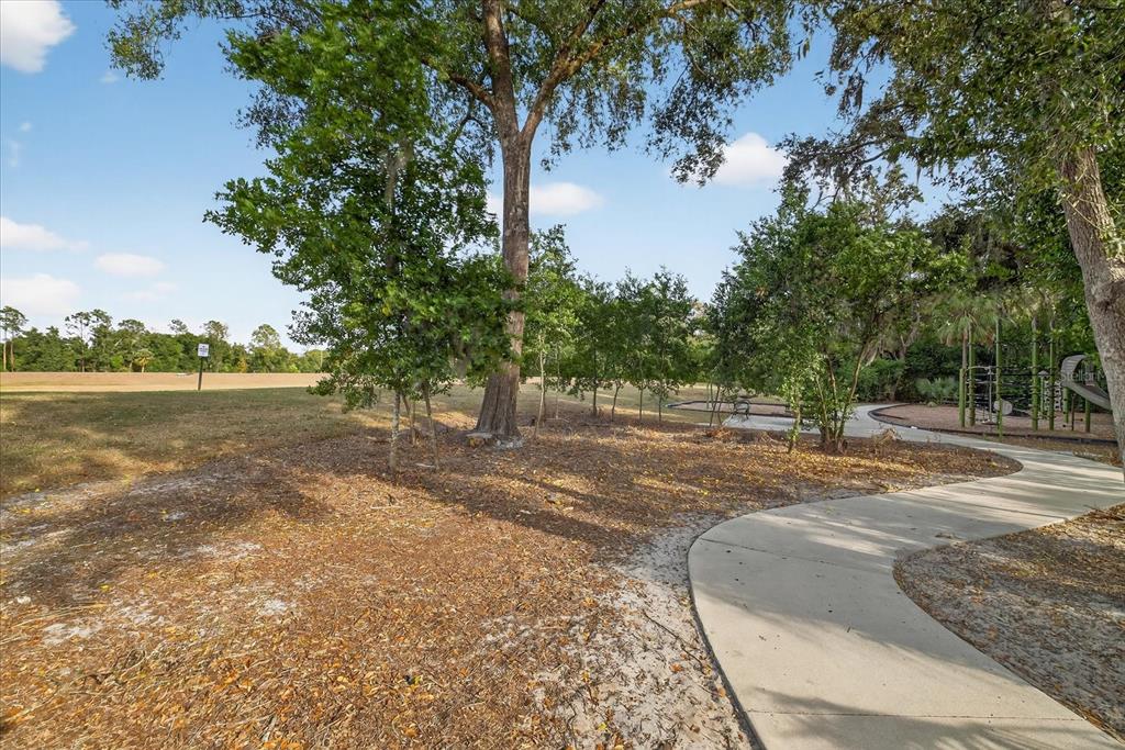 6115 Apple Snail Avenue New Port Richey, FL 34653 - Photo 53 of 59