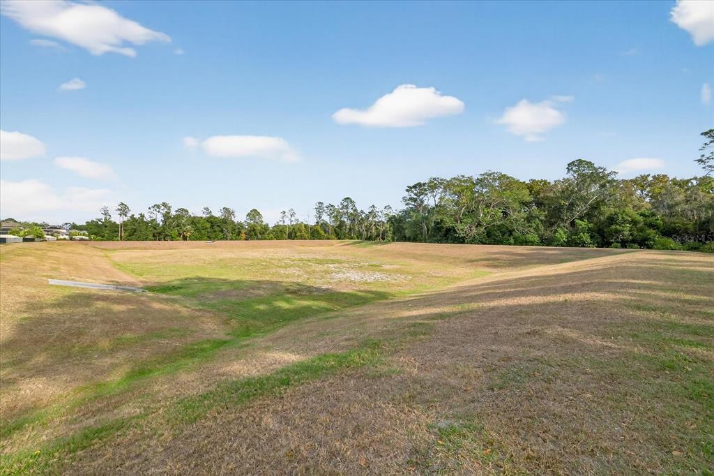 6115 Apple Snail Avenue New Port Richey, FL 34653 - Photo 54 of 59