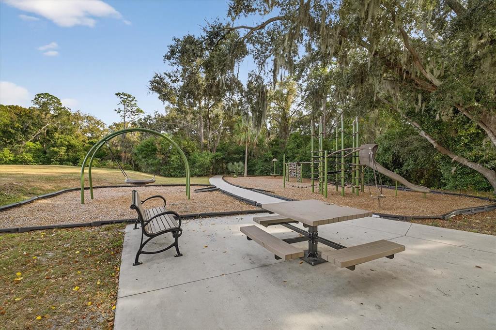 6115 Apple Snail Avenue New Port Richey, FL 34653 - Photo 55 of 59 a view of swimming pool with seating area and trees around