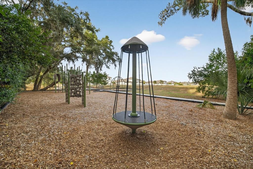 6115 Apple Snail Avenue New Port Richey, FL 34653 - Photo 56 of 59 a view of a park with a slide