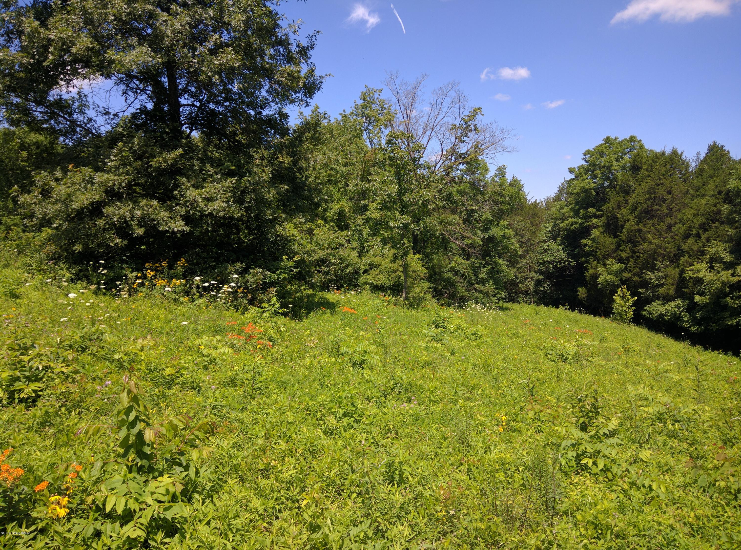10350 Broad Run Road Louisville, KY 40299 - Photo 14 of 15 image