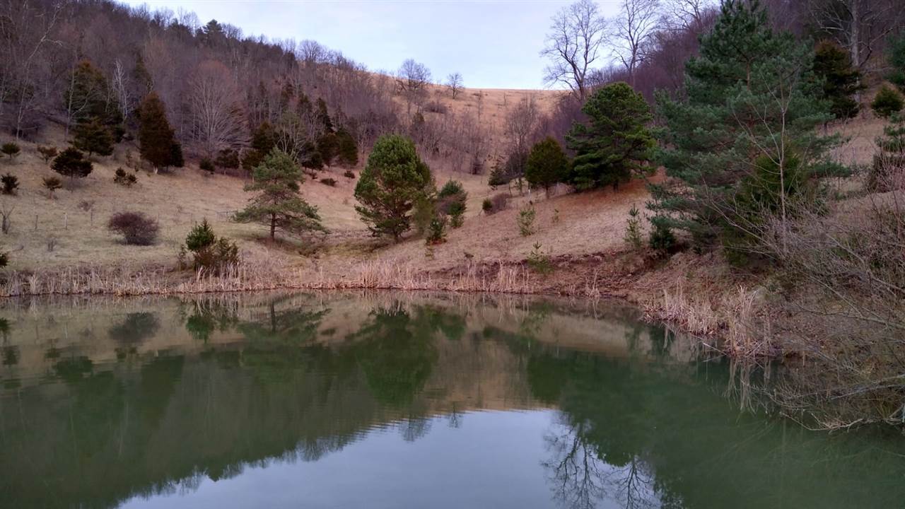 Spring Run Road Sugar Grove, VA 26815 - Photo 3 of 6 Gallery Image 3