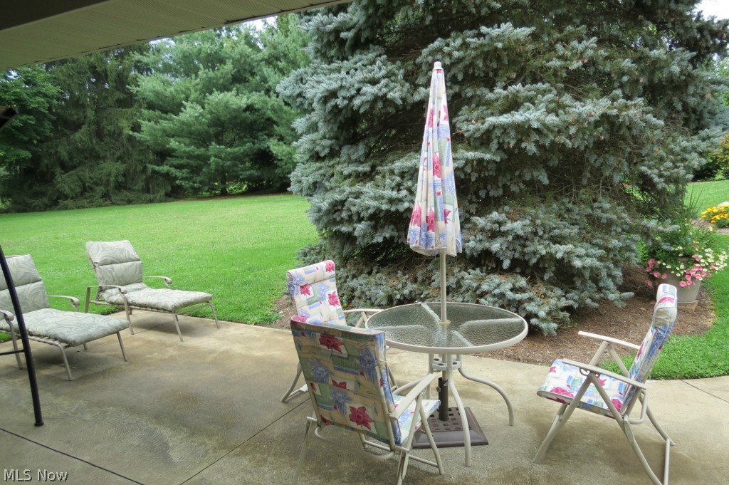 10561 Diagonal Road Mantua, OH 44255 - Photo 20 of 21 covered patio that over looks perennial gardens.