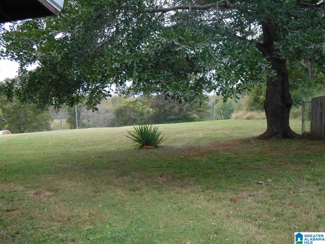 1323 Farmingdale Road Harpersville, AL 35078 - Photo 38 of 42