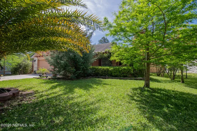 a view of a park with a tree