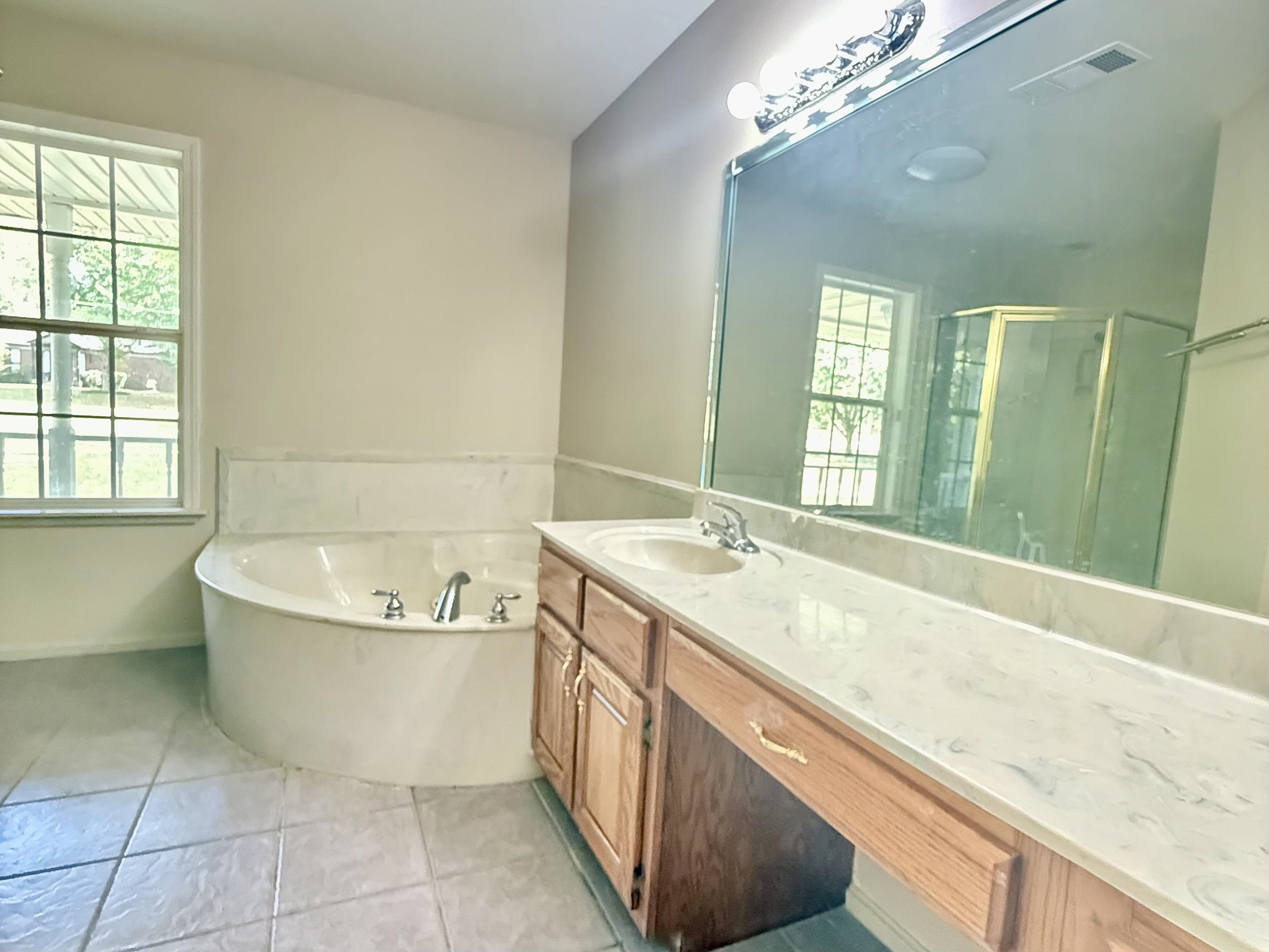 856 Reed Circle Drummonds, TN 38023 - Photo 13 of 24 a spacious bathroom with a tub sink and mirror