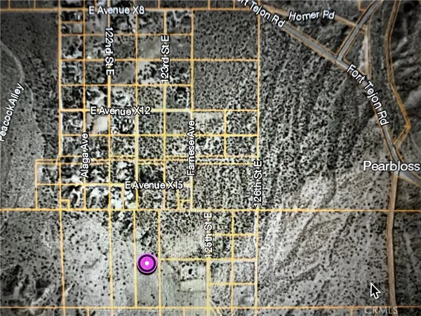 $65,000 | 0 123rd Juniper Hills, Pearblossom, CA 93553