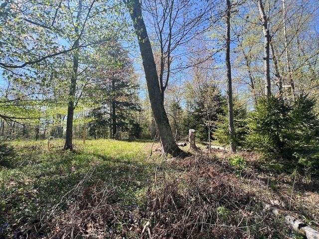 0 Flees Road Northport, MI 49670 - Photo 1 of 10 Gallery Image 1