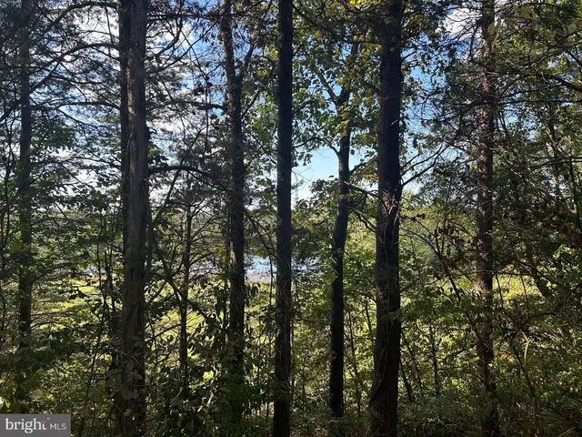 $250,000 | 15 Kipps Lane, Elkwood, VA 22718