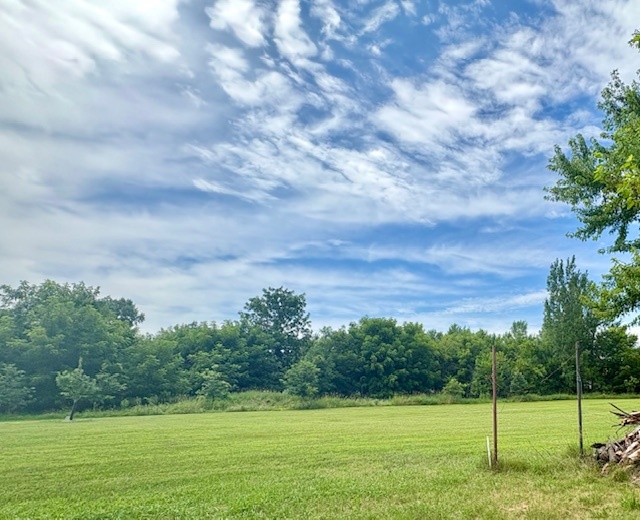 25-46 Woodhaven Sublette, IL 61367 - Photo 4 of 17 a view of a yard with a big yard