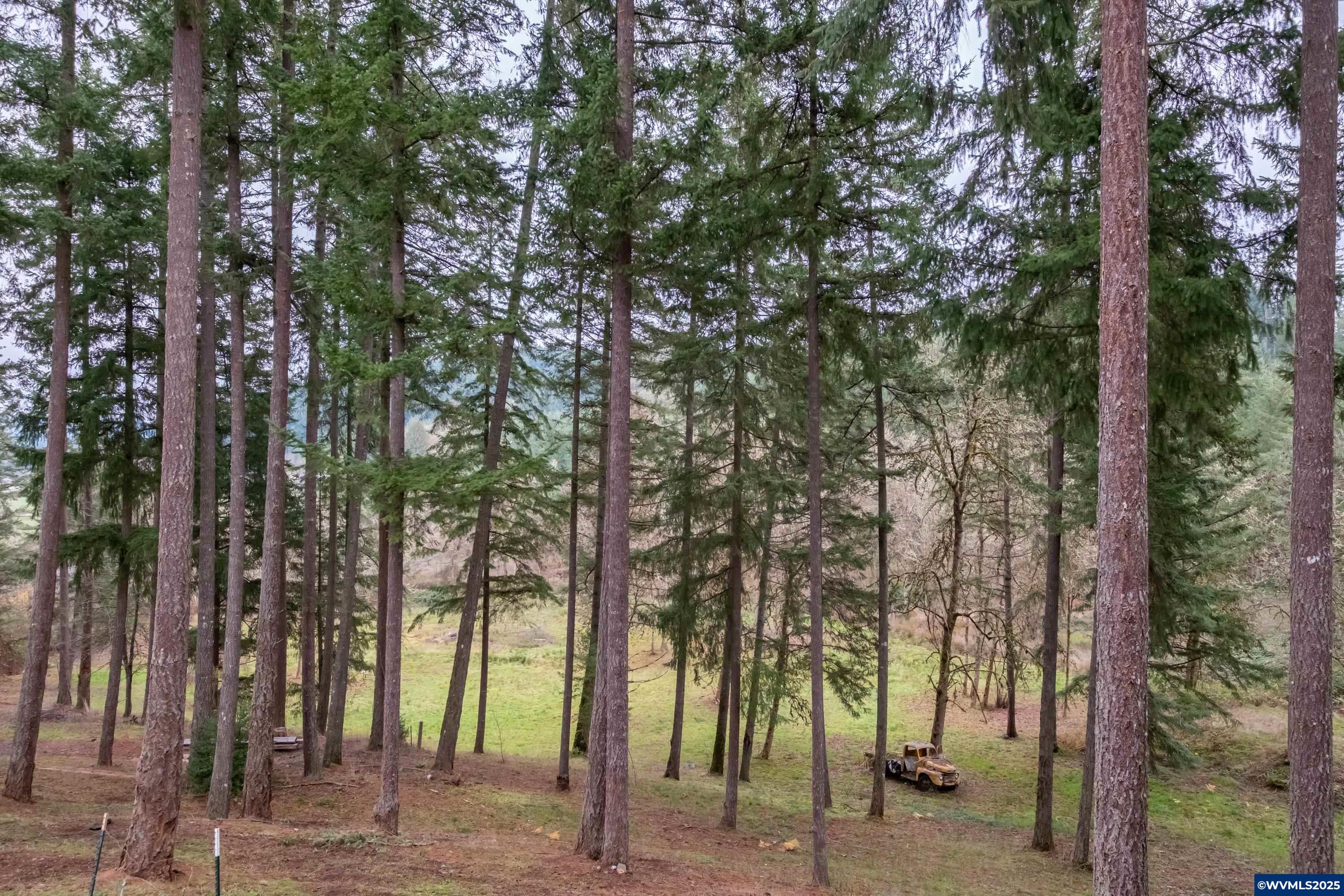 32583 Bellinger Scale Road Lebanon, OR 97355 - Photo 46 of 49 Gallery Image 46