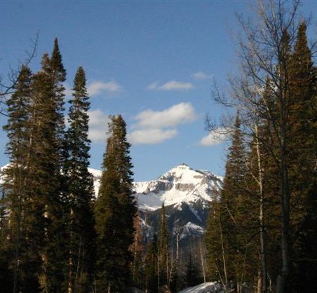 164 Ridge Road Telluride, CO 81435 - Photo 7 of 10 Good View of Mt Emma