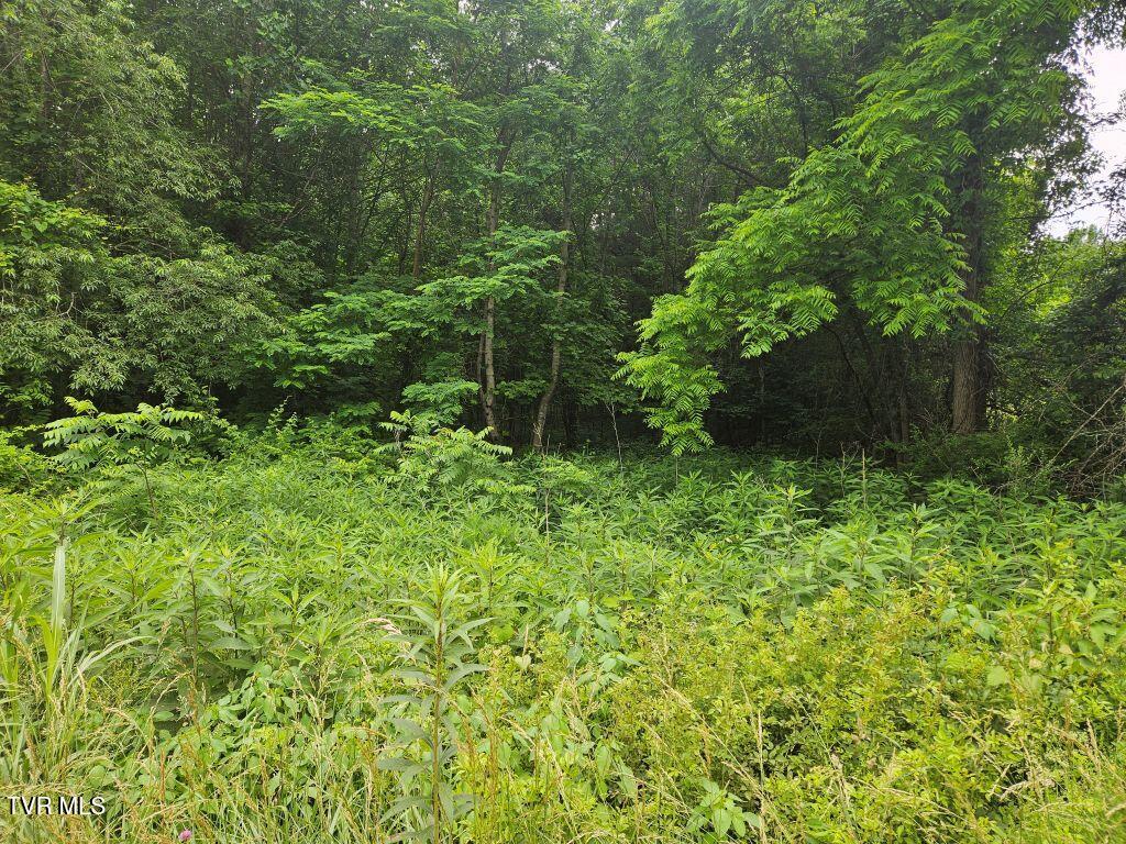 Lot 4 Widener Valley Road, Unit 4 Damascus, VA 24236 - Photo 12 of 12 12