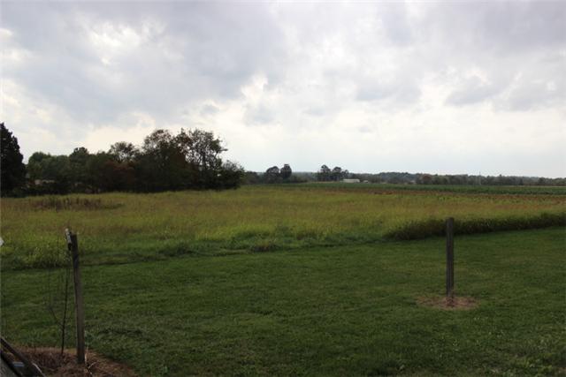5173 Esbon Holland Road Springfield, TN 37172 - Photo 13 of 17 a view of a lake from a yard