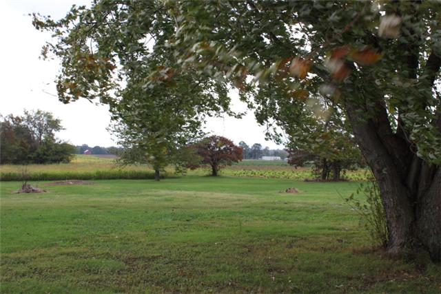 5173 Esbon Holland Road Springfield, TN 37172 - Photo 15 of 17 a big yard with lots of green space and deers