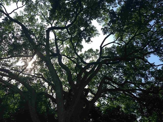 11 Chestnut Street Exeter, NH 03833 - Photo 34 of 40