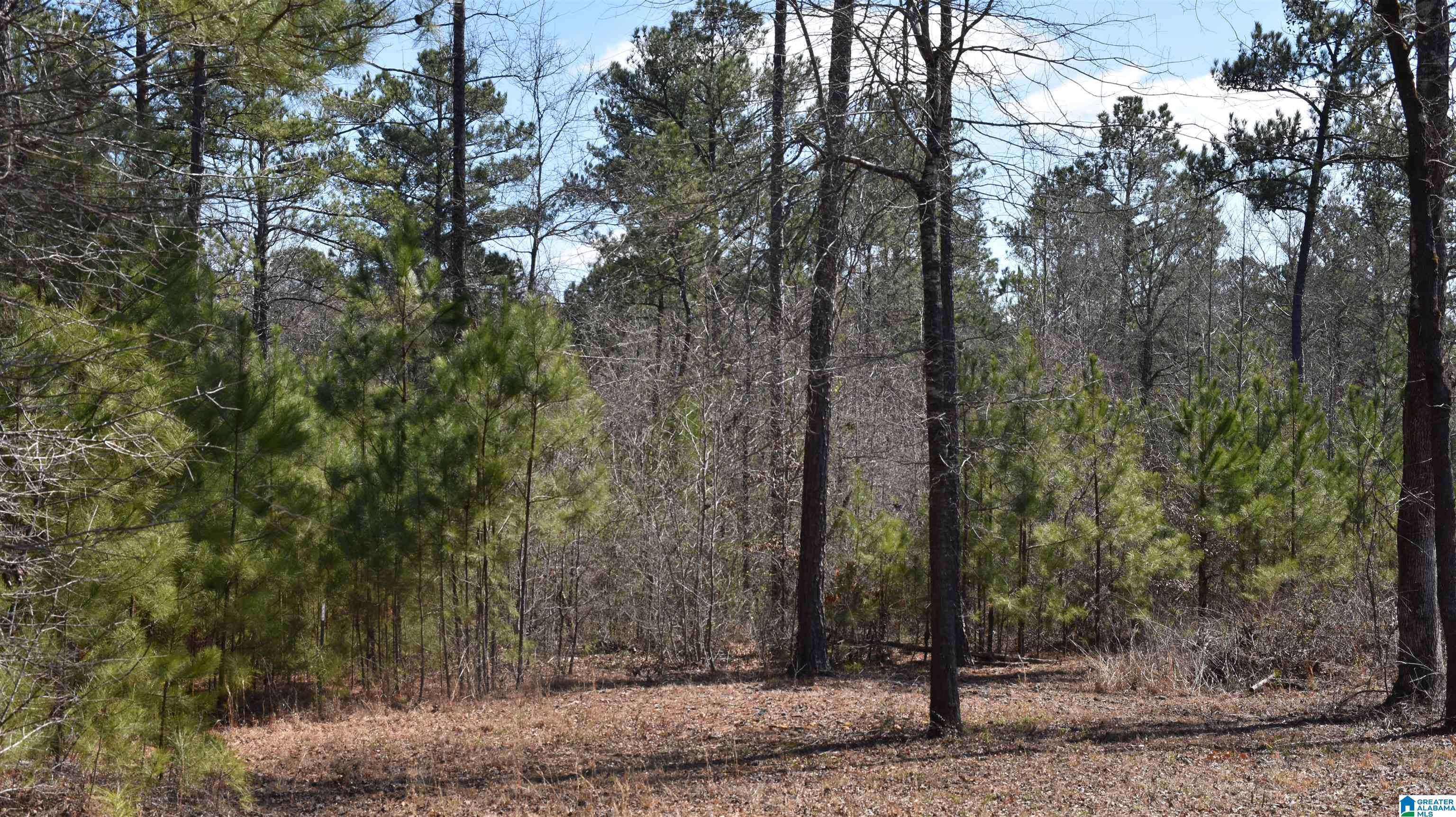 2003 New Maryland Road Alpine, AL 35014 - Photo 35 of 38