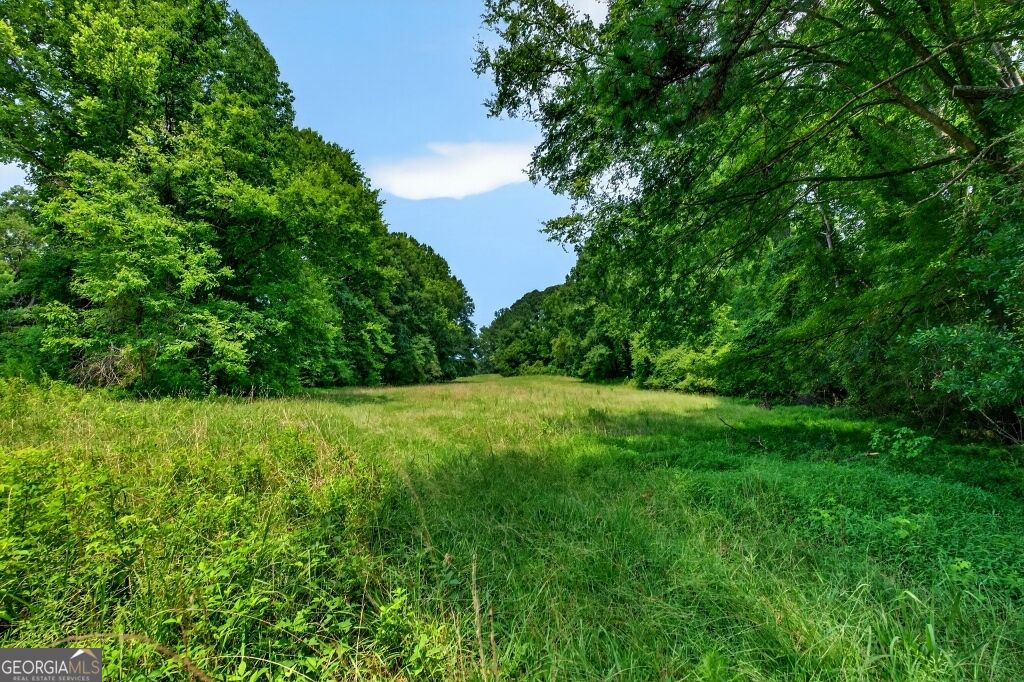 1744 Alexander Road Monticello, GA 31064 - Photo 70 of 83 Gallery Image 70