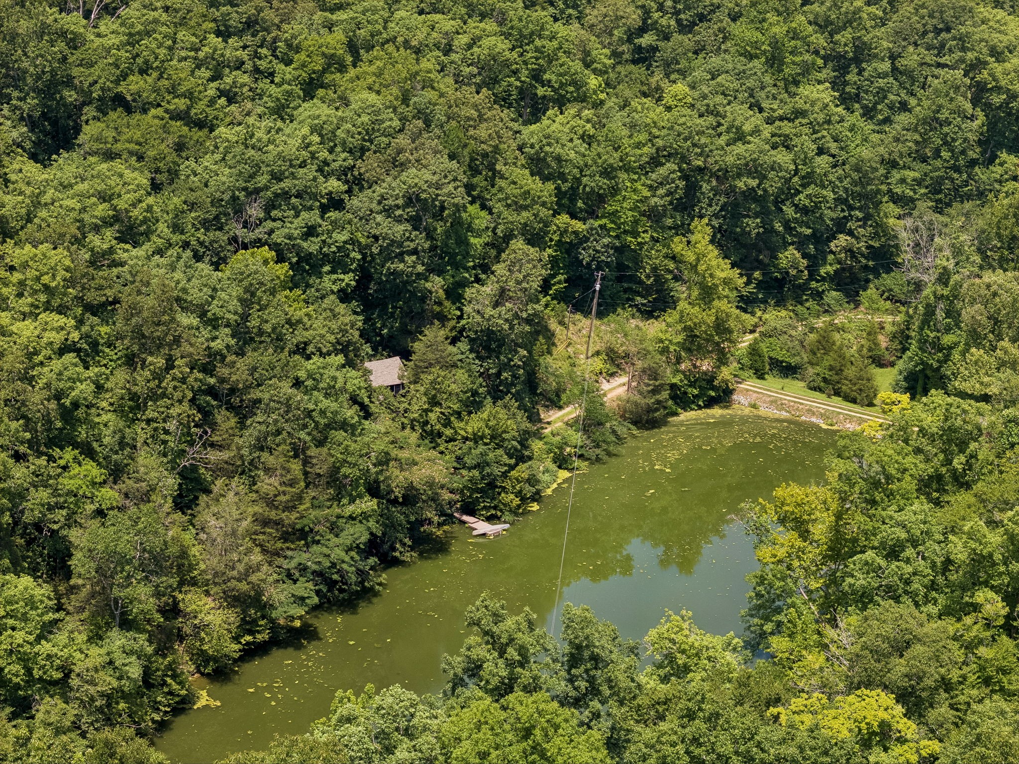 7941 Fernvale Road Fairview, TN 37062 - Photo 54 of 62 Gallery Image 54