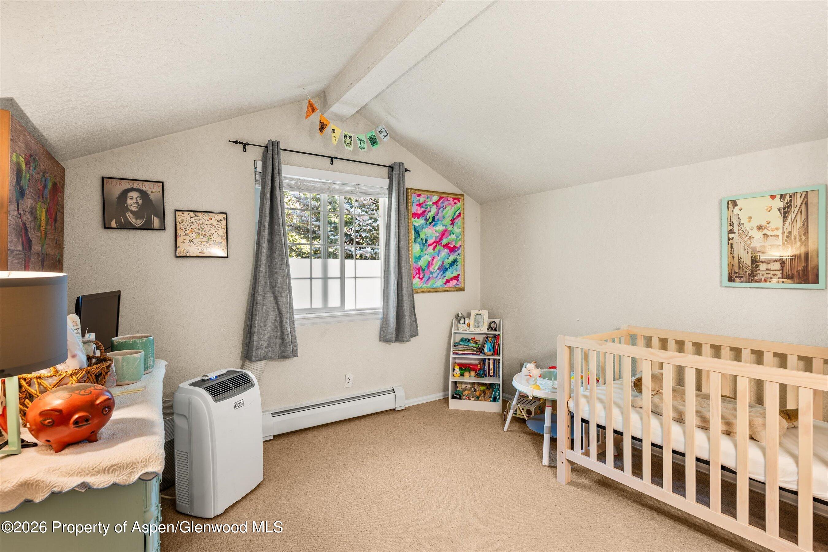 5203 Elk Lane Basalt, CO 81621 - Photo 15 of 26 21-5203ElkLn_26061721