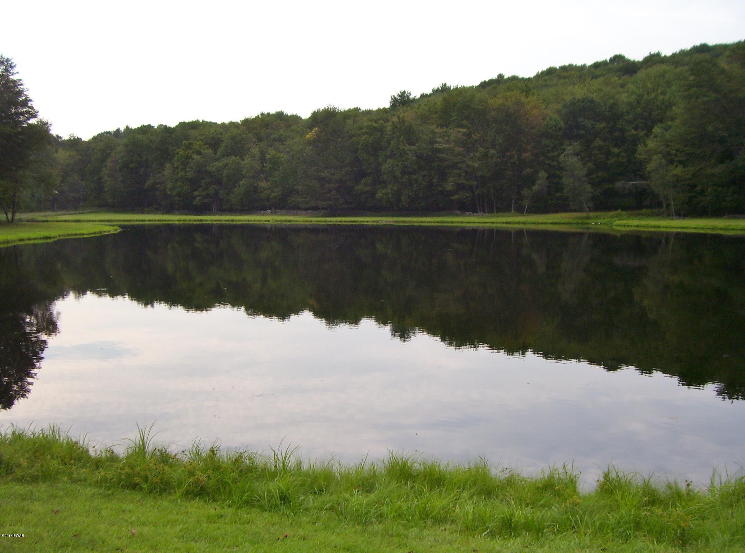161-162 Bear Rock Road Lake Ariel, PA 18436 - Photo 11 of 17