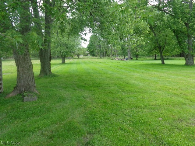 7019 Ridge Road Parma, OH 44129 - Photo 26 of 27 Rear Yard