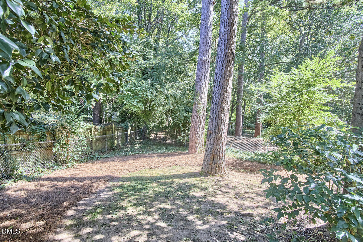4916 Latimer Road Raleigh, NC 27609 - Photo 28 of 30 a view of a yard with plants and large trees