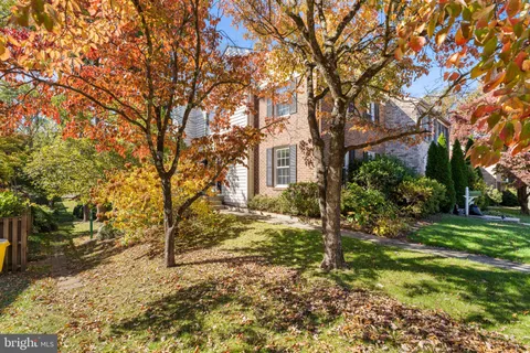 a view of a yard with plants and trees