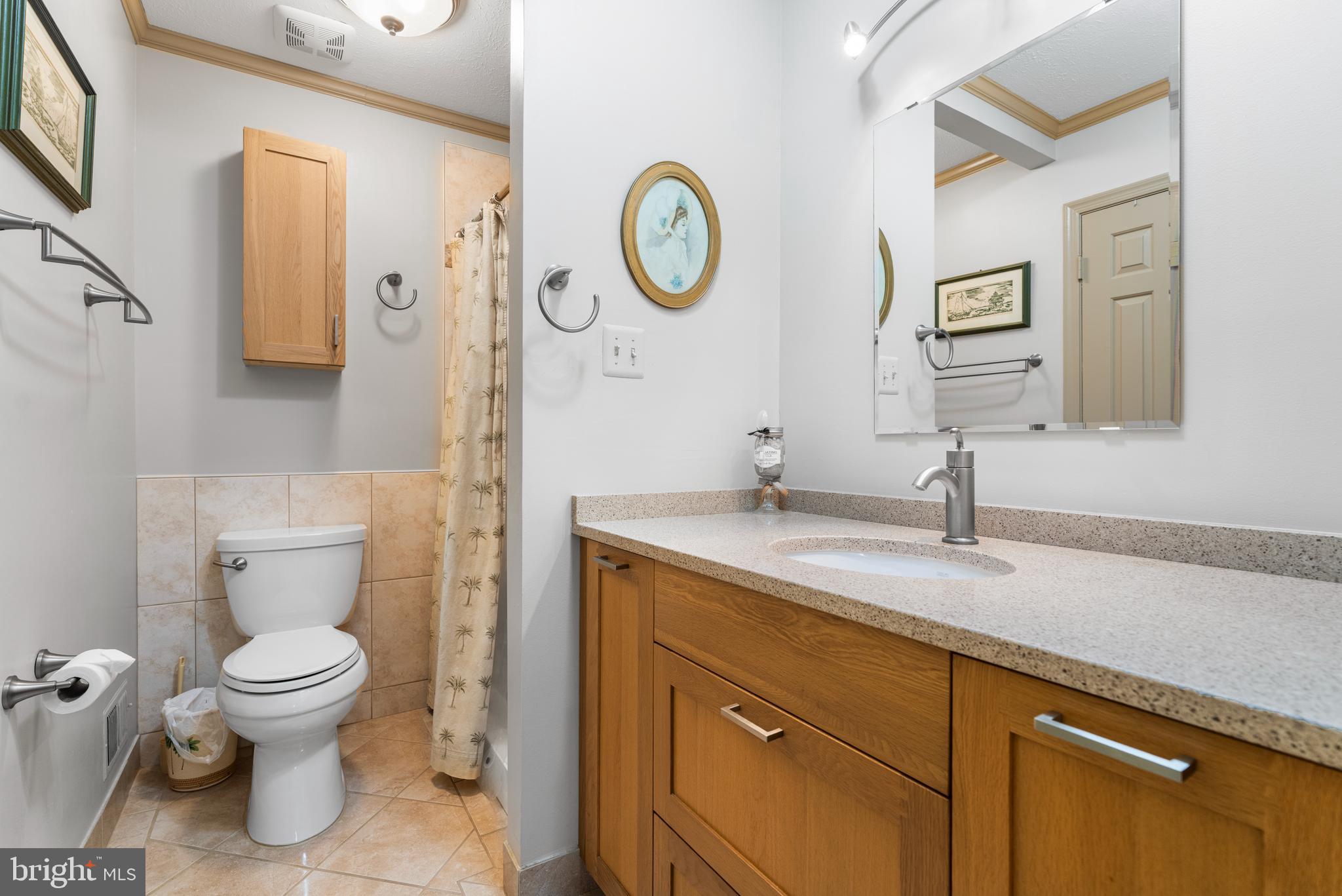 2110 Sandy Court Crofton, MD 21114 - Photo 21 of 50 a bathroom with a toilet a sink and a mirror