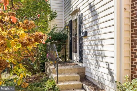 a view of a back yard from a building