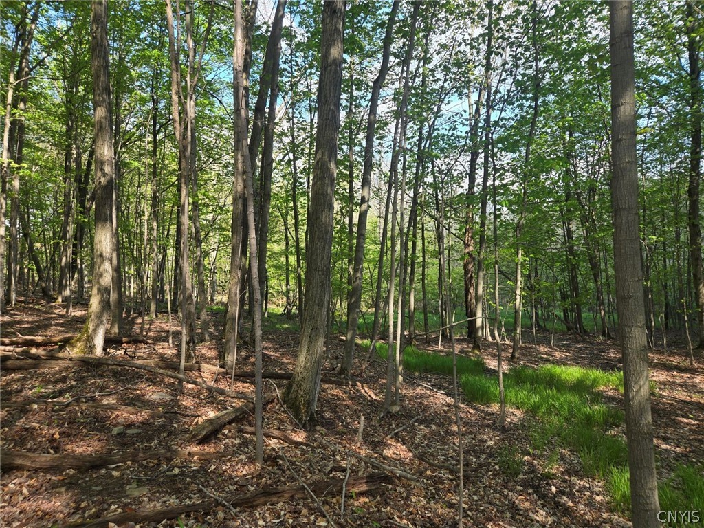 Pochuck Road Bliss, NY 14024 - Photo 18 of 23