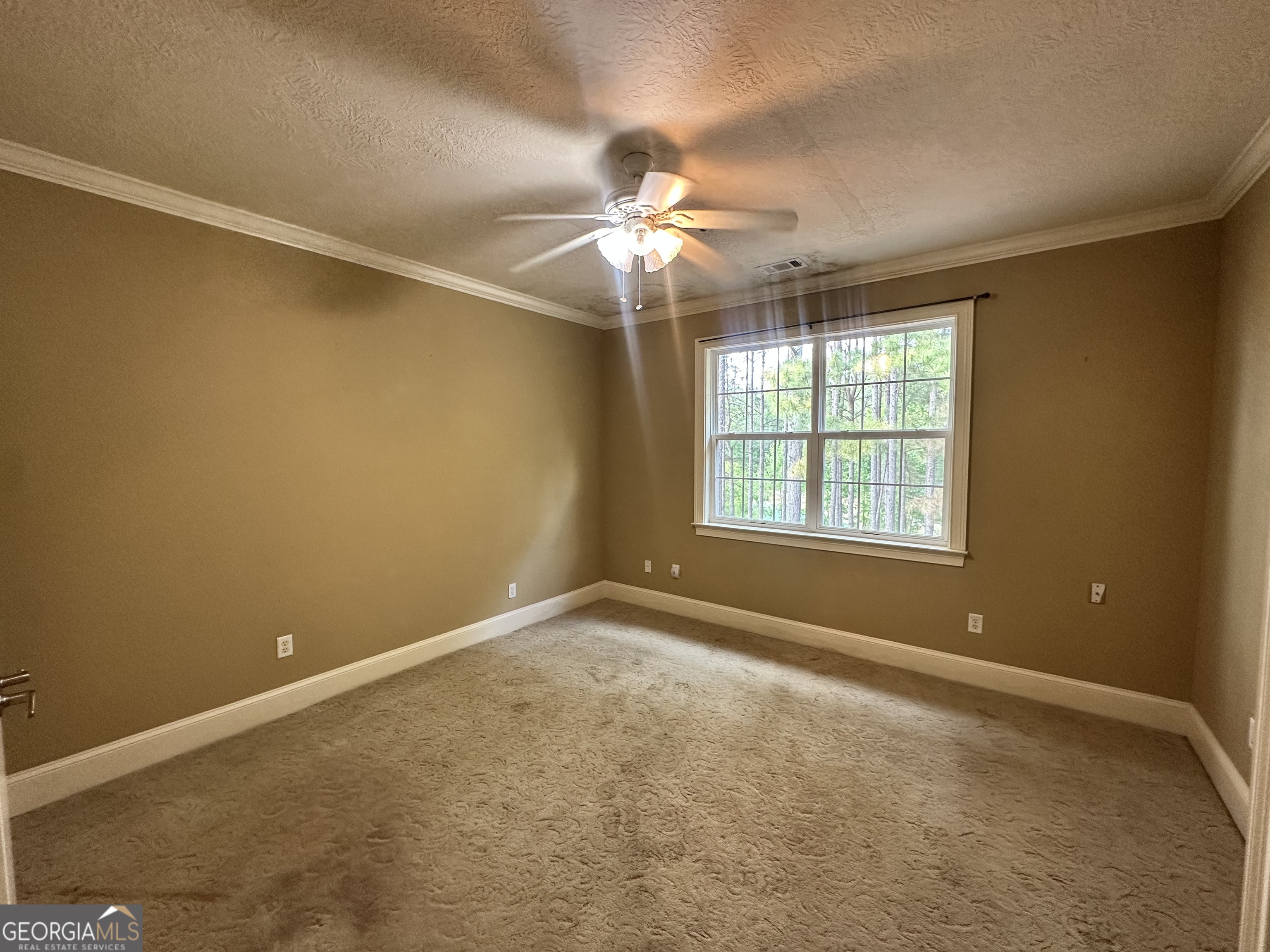 2131 Winchester Road Sylvania, GA 30467 - Photo 27 of 55