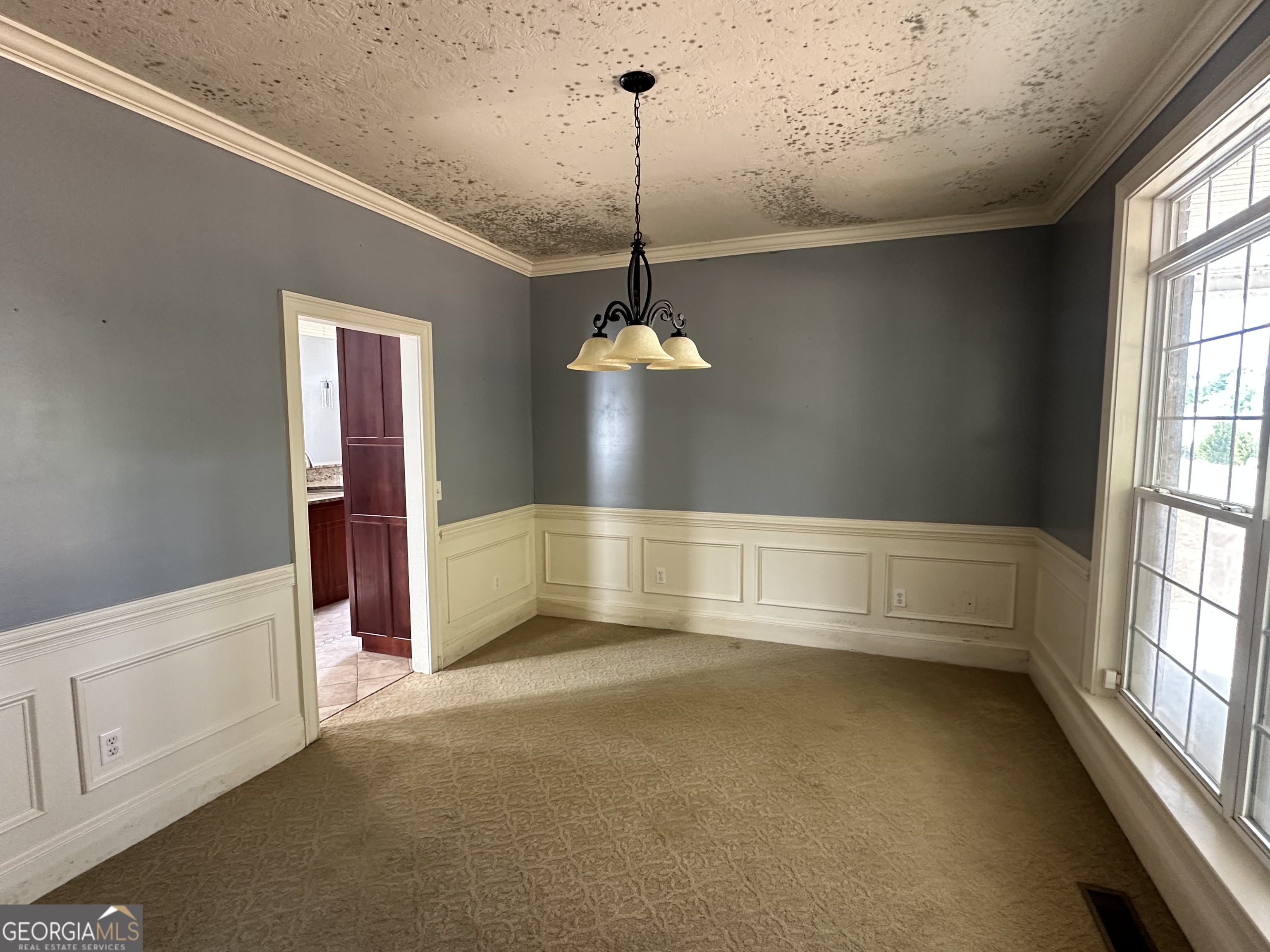 2131 Winchester Road Sylvania, GA 30467 - Photo 4 of 55