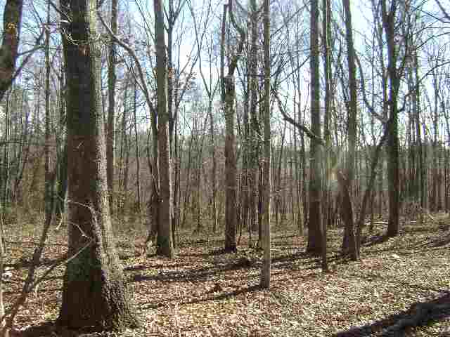 0 Mountain Springs Road Anderson, SC 29621 - Photo 2 of 4
