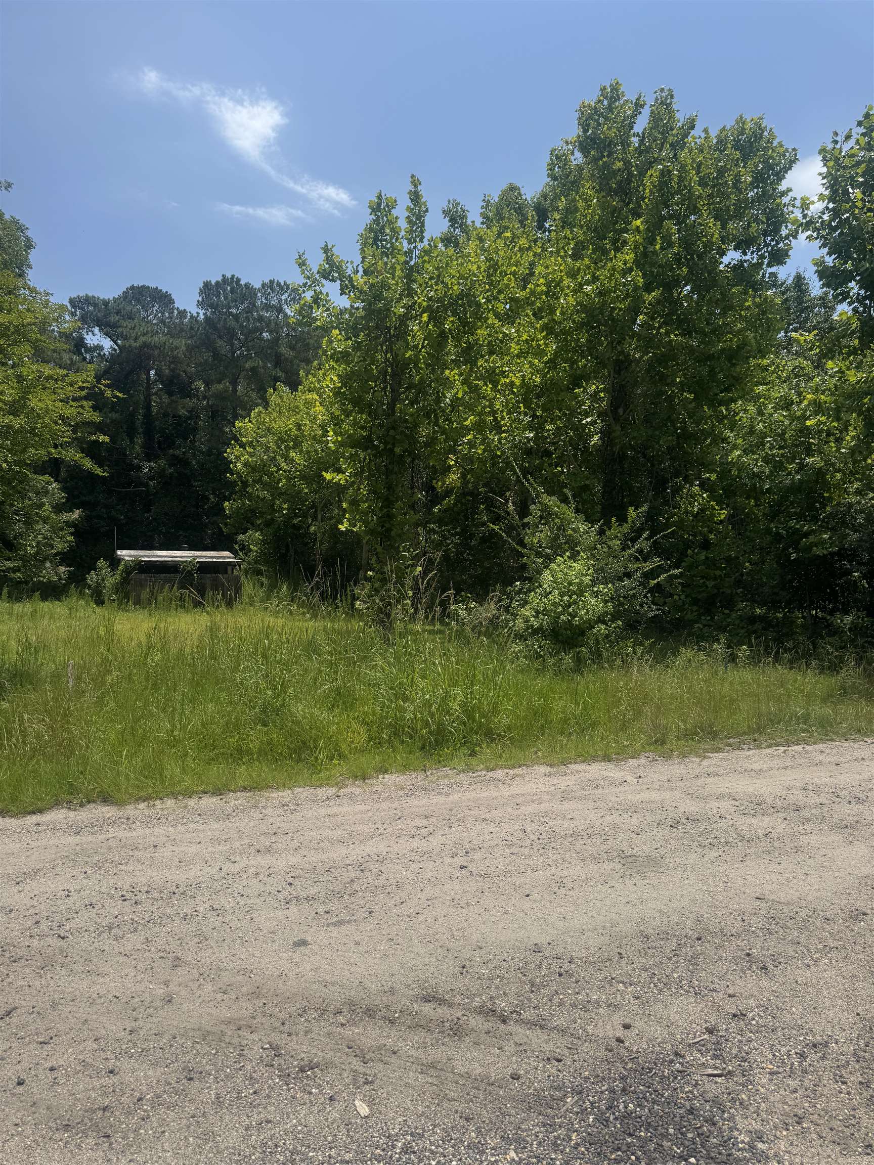3216 Old Nelson Road Conway, SC 29526 - Photo 2 of 4