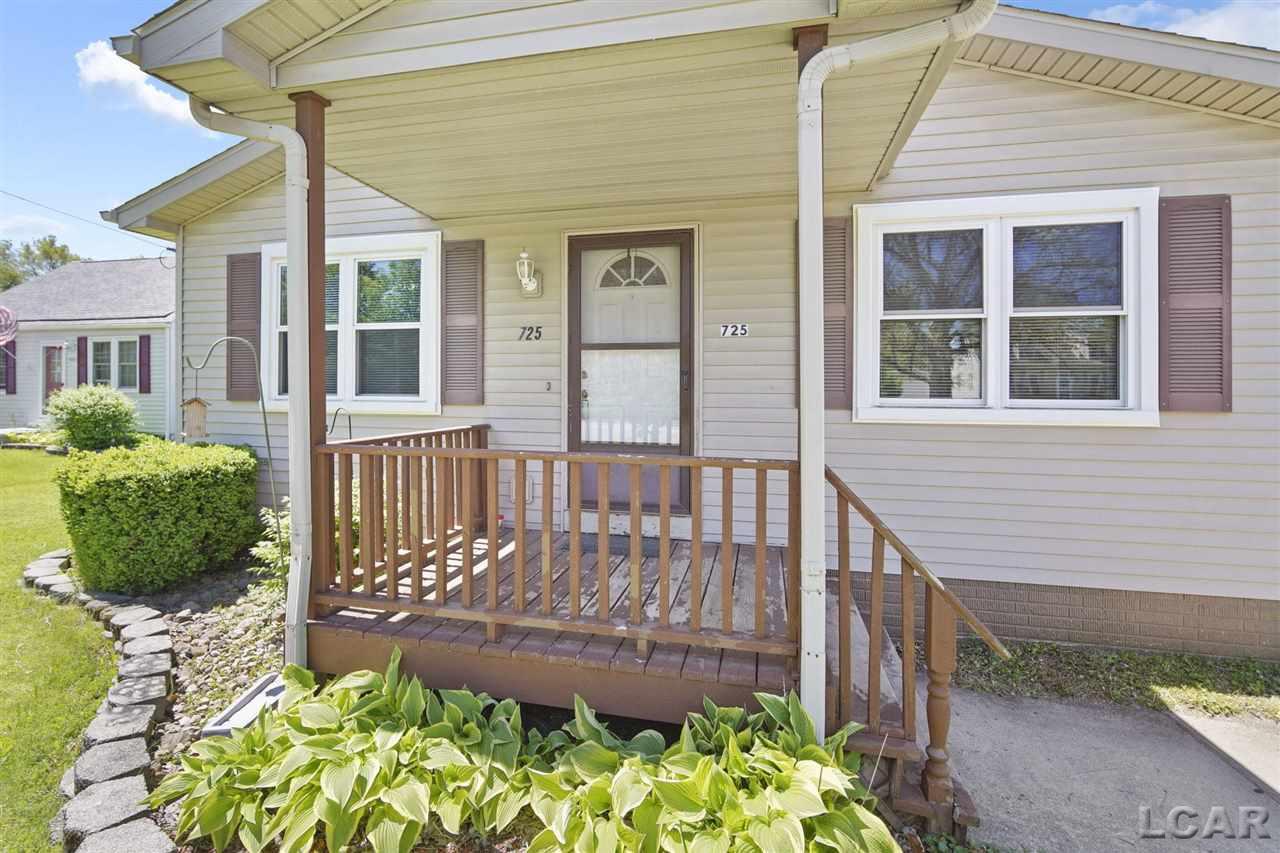 725 South Occidental Road Tecumseh, MI 49286 - Photo 2 of 27