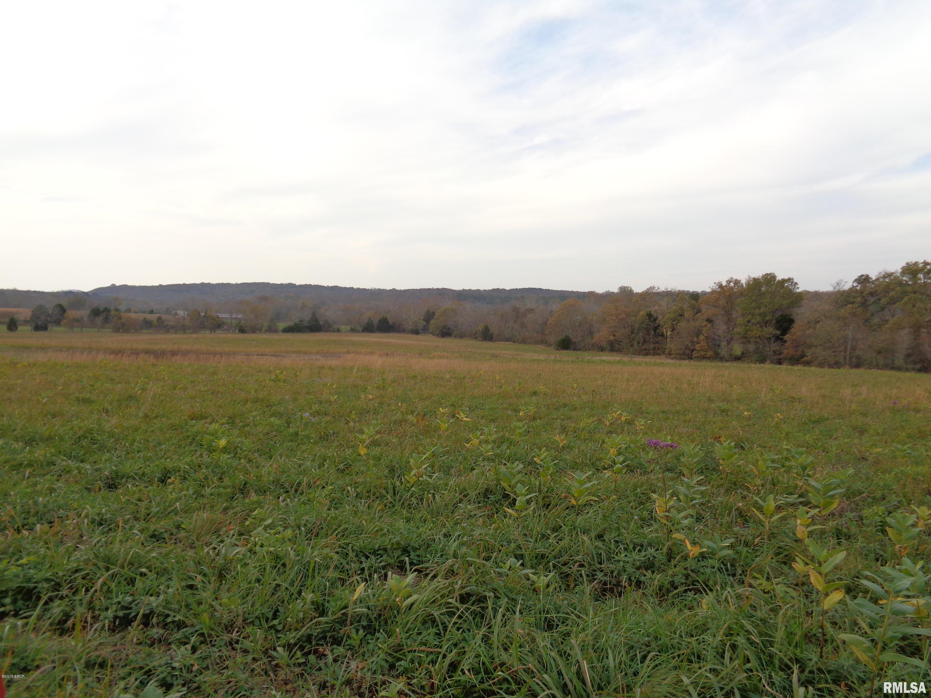 0 Old Tannery Road Eddyville, IL 62928 - Photo 3 of 11