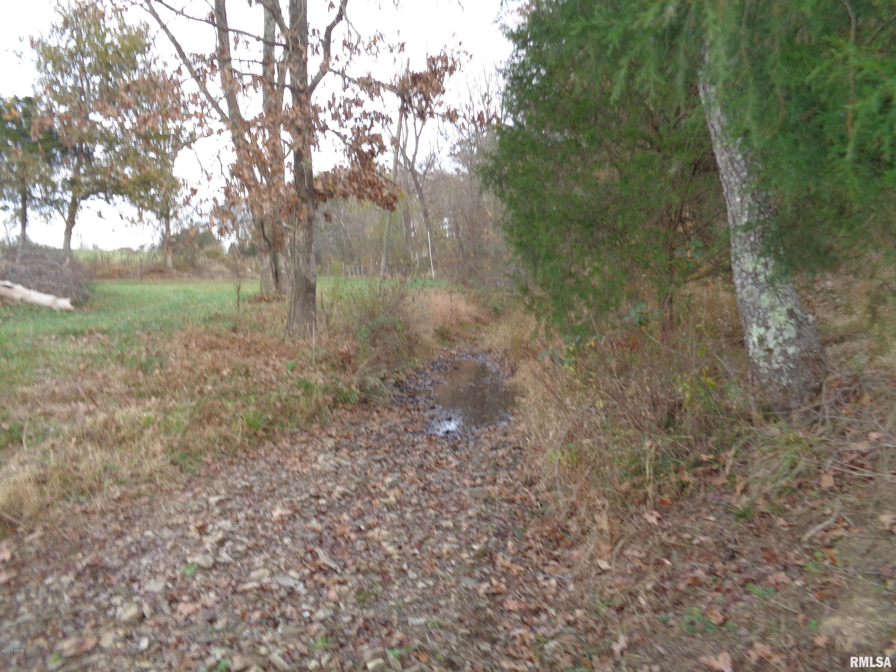 0 Old Tannery Road Eddyville, IL 62928 - Photo 6 of 11