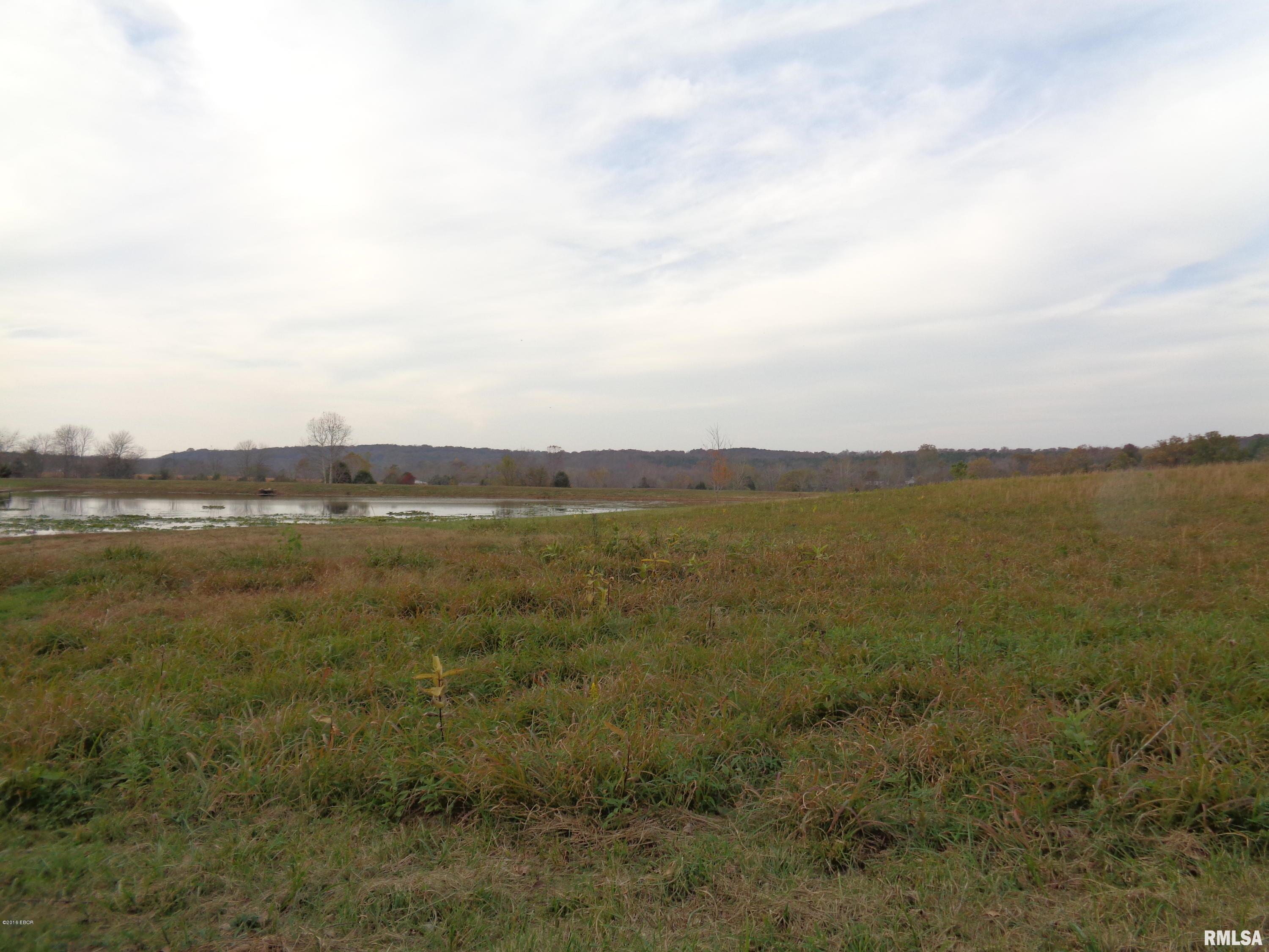 0 Old Tannery Road Eddyville, IL 62928 - Photo 8 of 11
