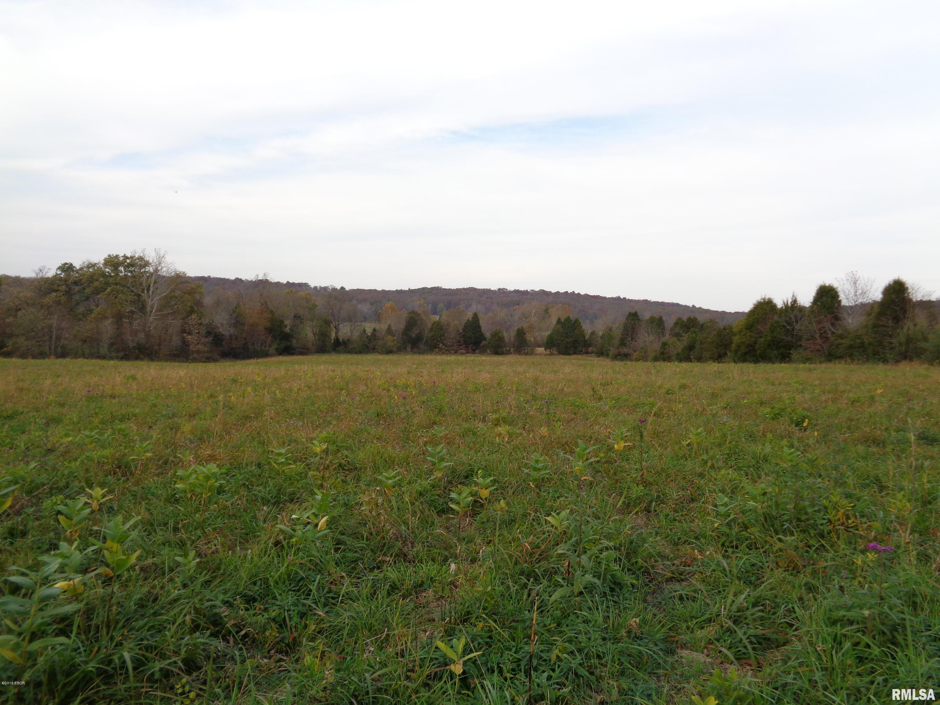 0 Old Tannery Road Eddyville, IL 62928 - Photo 10 of 11