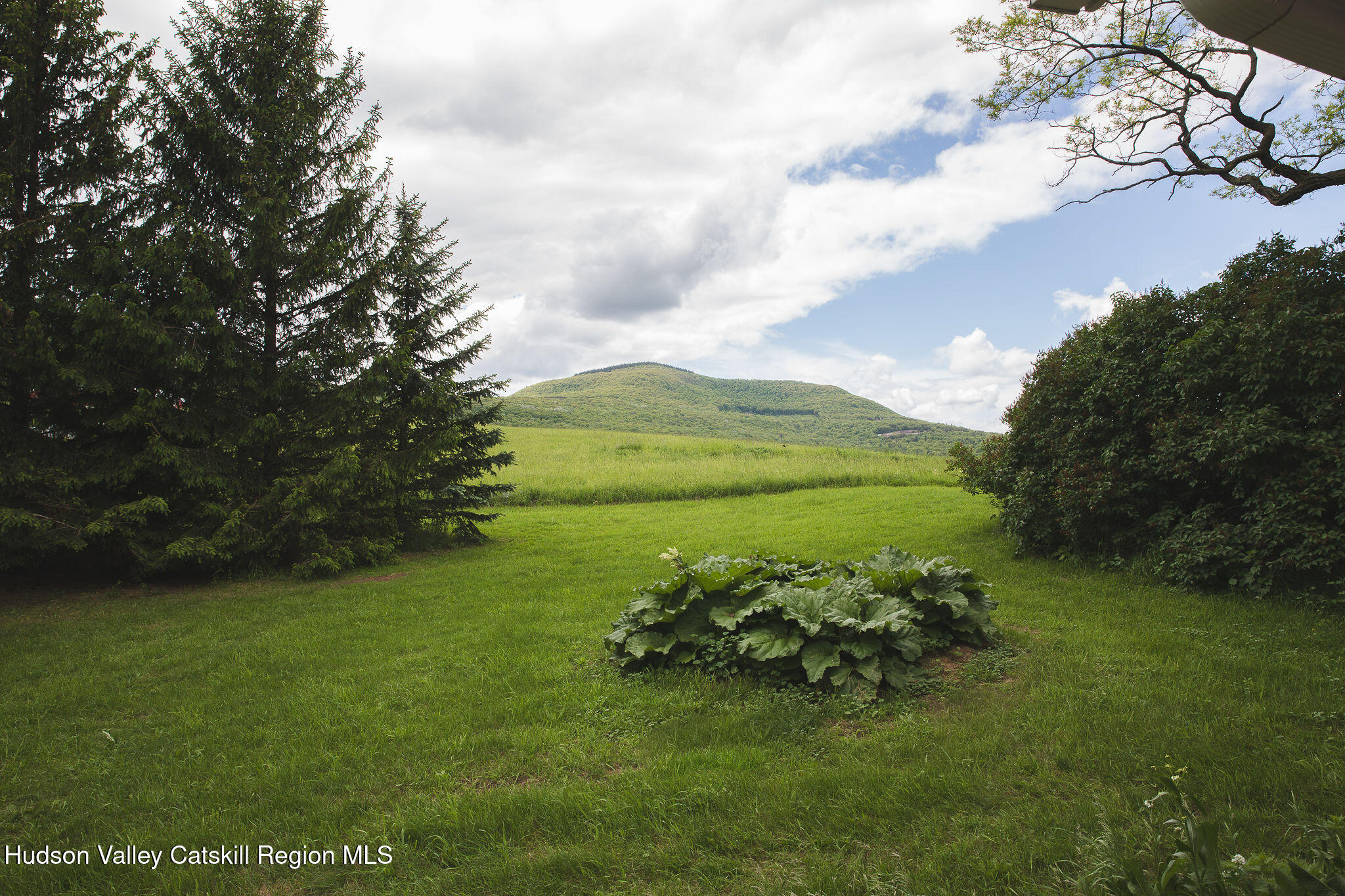 506 Cunningham Road Durham, NY 12422 - Photo 32 of 37 a view of a golf course with a garden