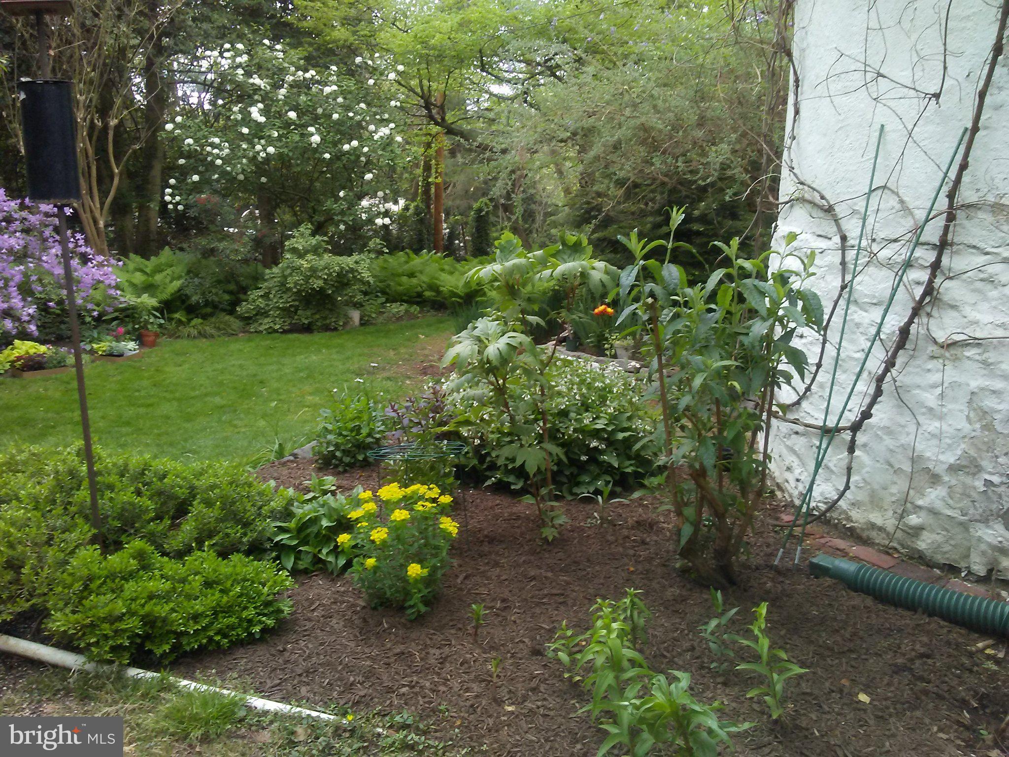 Grounds shine w/ Vibrant Colors thru the Seasons