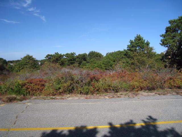 19 Priest Road Truro, MA 02666 - Photo 4 of 8 a view of a field with a tree in the background